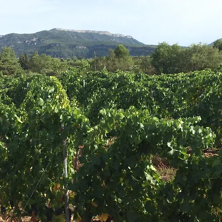 Villa Somnis Del Montsant Marca