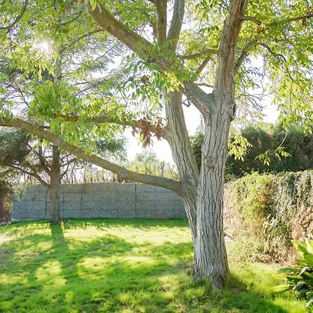 Villa Somnis Del Montsant